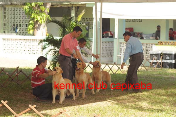 Clique sobre a foto para fechar